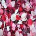 Romantic Rose Petals